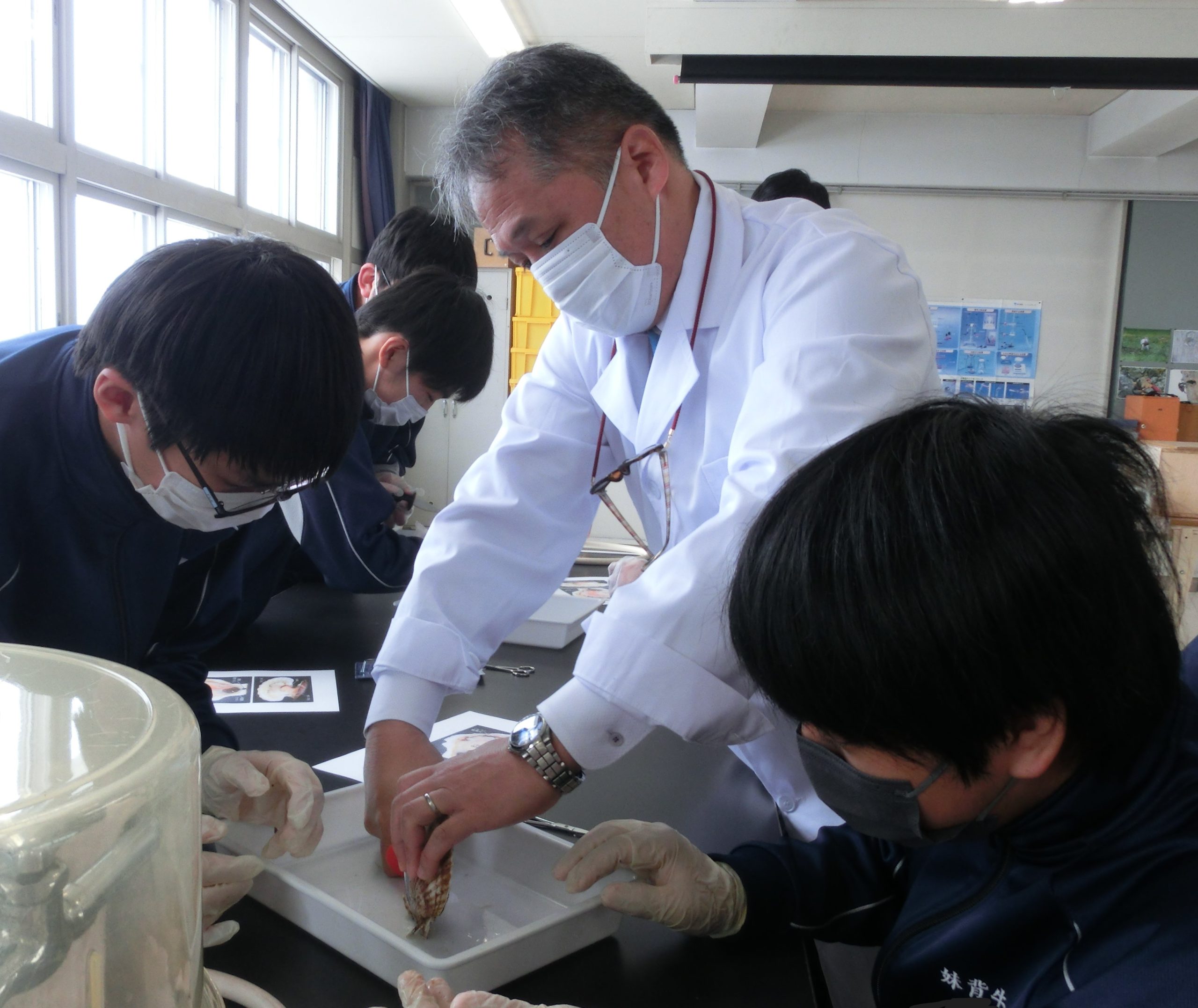 卒業まで・・・ 妹背牛町立妹背牛中学校