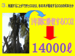 20081222_1.gif(8284 byte)